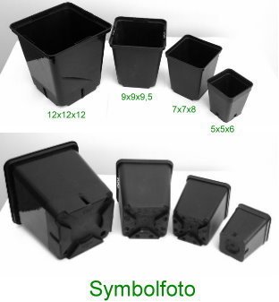 Viereckcontainer 50 Stück - 5x5x6 - schwarz